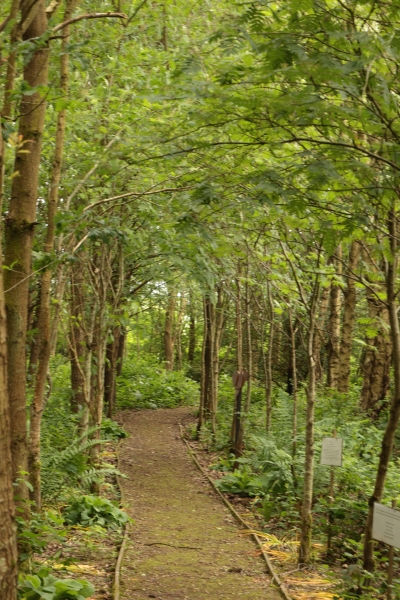 Gorse Hill Nature Reserve